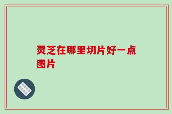 灵芝在哪里切片好一点图片