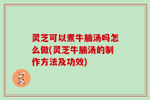 灵芝可以煮牛腩汤吗怎么做(灵芝牛腩汤的制作方法及功效) 灵芝可以煮牛腩汤吗怎么做(灵芝牛腩汤的制作方法及功效)