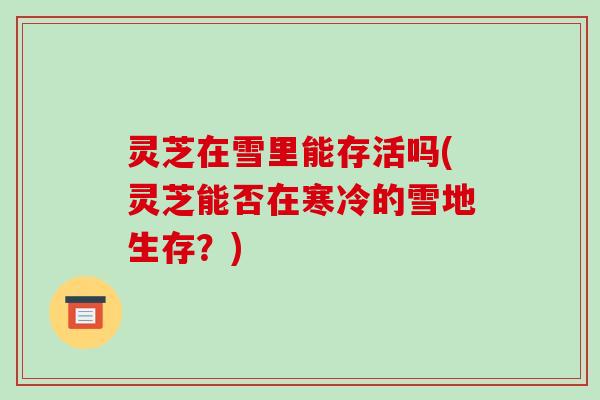 灵芝在雪里能存活吗(灵芝能否在寒冷的雪地生存？)
