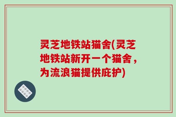 灵芝地铁站猫舍(灵芝地铁站新开一个猫舍，为流浪猫提供庇护)