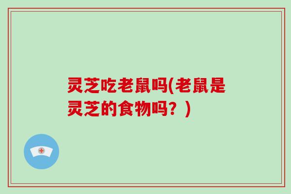 灵芝吃老鼠吗(老鼠是灵芝的食物吗？)