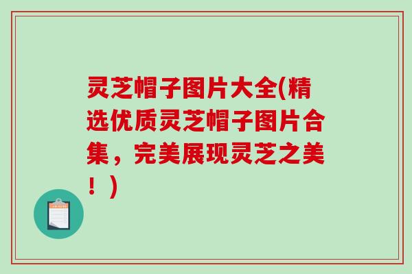 灵芝帽子图片大全(精选优质灵芝帽子图片合集，完美展现灵芝之美！)