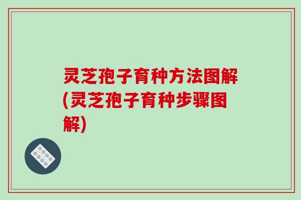 灵芝孢子育种方法图解(灵芝孢子育种步骤图解)
