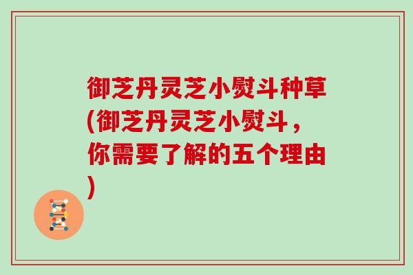 御芝丹灵芝小熨斗种草(御芝丹灵芝小熨斗，你需要了解的五个理由)