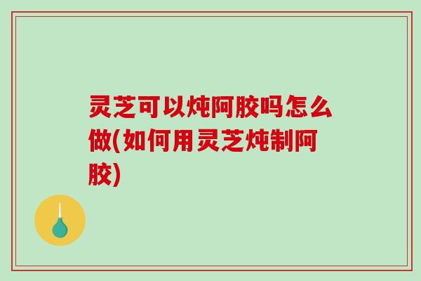 灵芝可以炖阿胶吗怎么做(如何用灵芝炖制阿胶) 灵芝可以炖阿胶吗怎么做(如何用灵芝炖制阿胶)