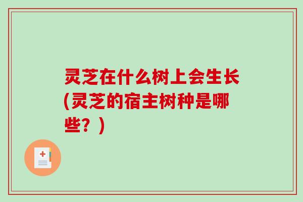 灵芝在什么树上会生长(灵芝的宿主树种是哪些？)
