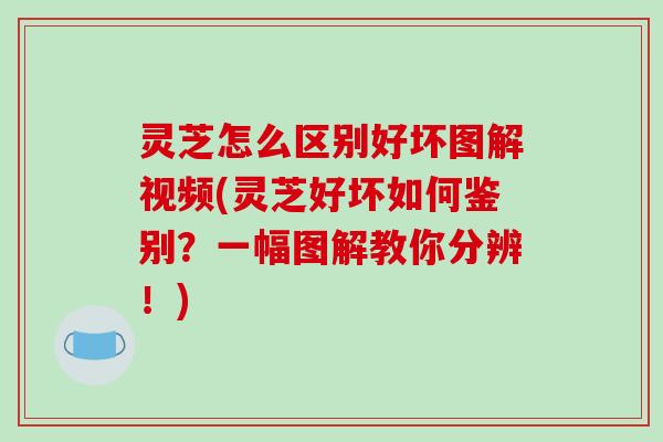 灵芝怎么区别好坏图解视频(灵芝好坏如何鉴别？一幅图解教你分辨！)