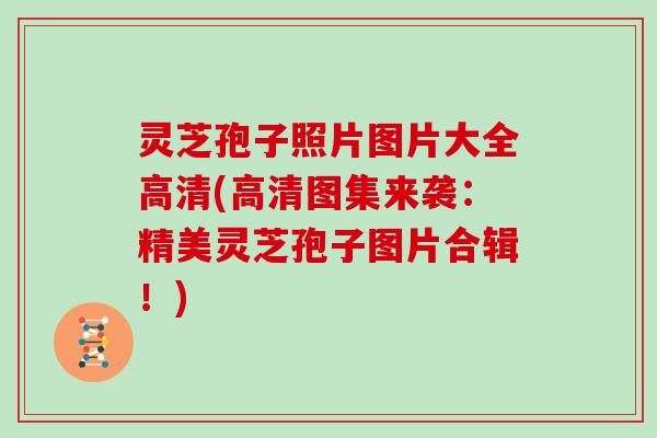 灵芝孢子照片图片大全高清(高清图集来袭：精美灵芝孢子图片合辑！)