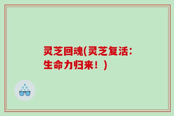 灵芝回魂(灵芝复活：生命力归来！)
