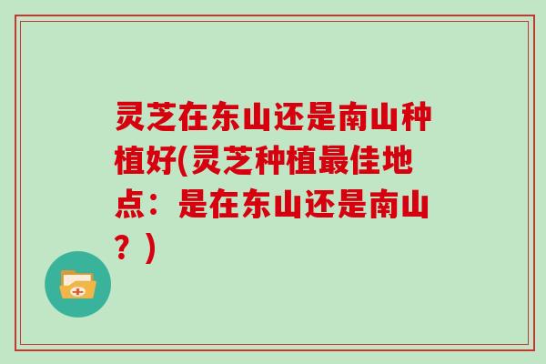 灵芝在东山还是南山种植好(灵芝种植佳地点：是在东山还是南山？)