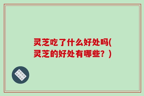 灵芝吃了什么好处吗(灵芝的好处有哪些？)