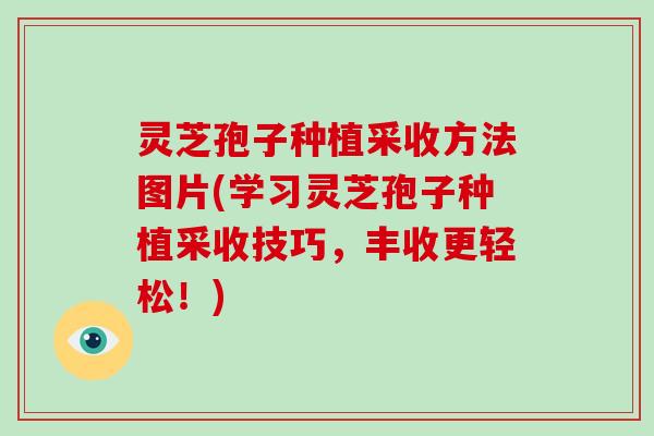 灵芝孢子种植采收方法图片(学习灵芝孢子种植采收技巧，丰收更轻松！)
