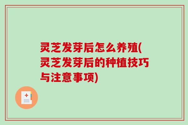 灵芝发芽后怎么养殖(灵芝发芽后的种植技巧与注意事项)