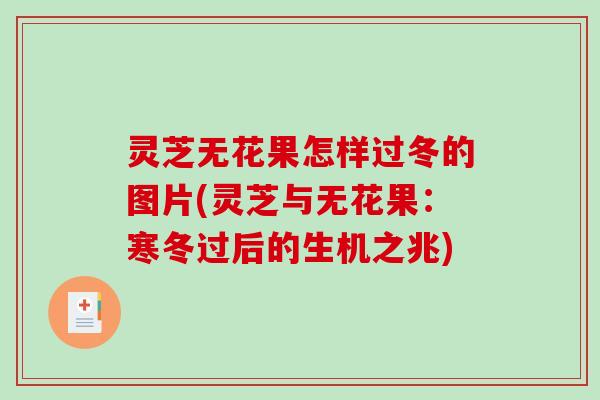 灵芝无花果怎样过冬的图片(灵芝与无花果：寒冬过后的生机之兆)