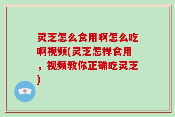 灵芝怎么食用啊怎么吃啊视频(灵芝怎样食用，视频教你正确吃灵芝)