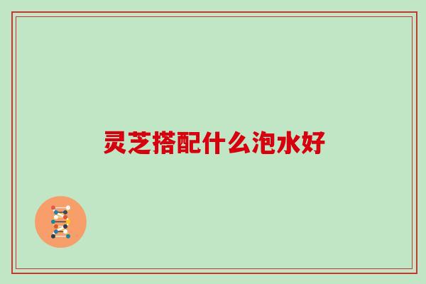 灵芝搭配什么泡水好