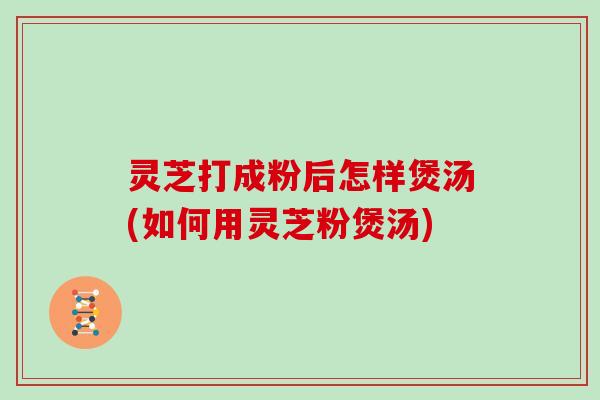 灵芝打成粉后怎样煲汤(如何用灵芝粉煲汤)