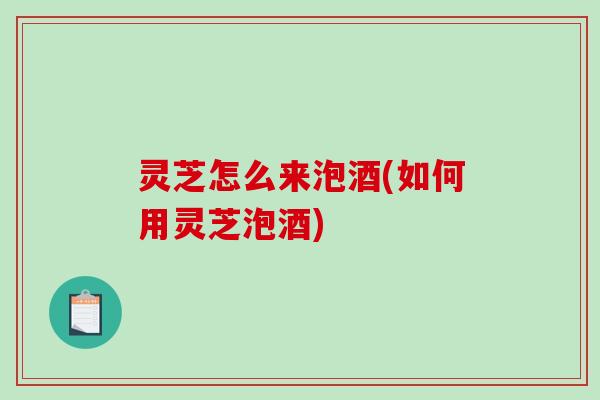 灵芝怎么来泡酒(如何用灵芝泡酒)