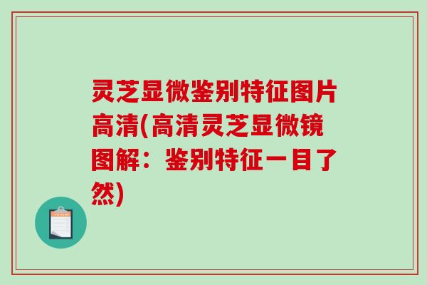灵芝显微鉴别特征图片高清(高清灵芝显微镜图解：鉴别特征一目了然)