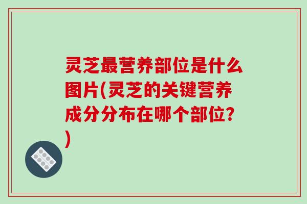 灵芝营养部位是什么图片(灵芝的关键营养成分分布在哪个部位？)