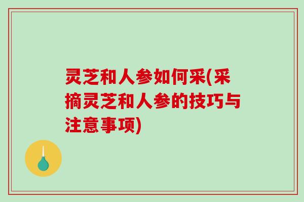 灵芝和人参如何采(采摘灵芝和人参的技巧与注意事项)