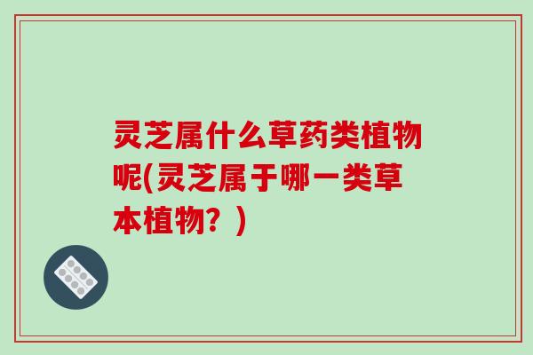 灵芝属什么草药类植物呢(灵芝属于哪一类草本植物?) 灵芝属什么草药类植物呢(灵芝属于哪一类草本植物?)