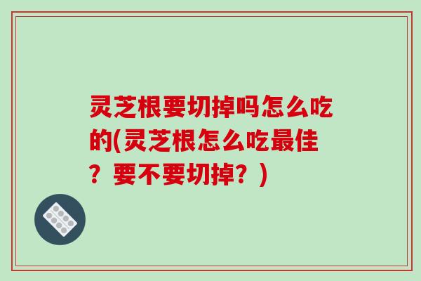 灵芝根要切掉吗怎么吃的(灵芝根怎么吃最佳？要不要切掉？)