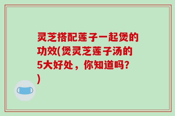 灵芝搭配莲子一起煲的功效(煲灵芝莲子汤的5大好处，你知道吗？)