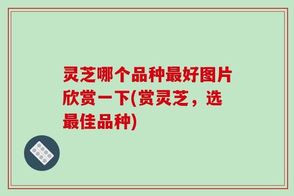 灵芝哪个品种好图片欣赏一下(赏灵芝，选佳品种)