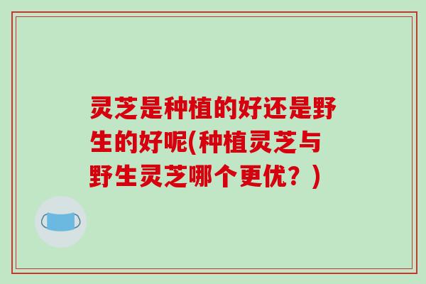灵芝是种植的好还是野生的好呢(种植灵芝与野生灵芝哪个更优？)