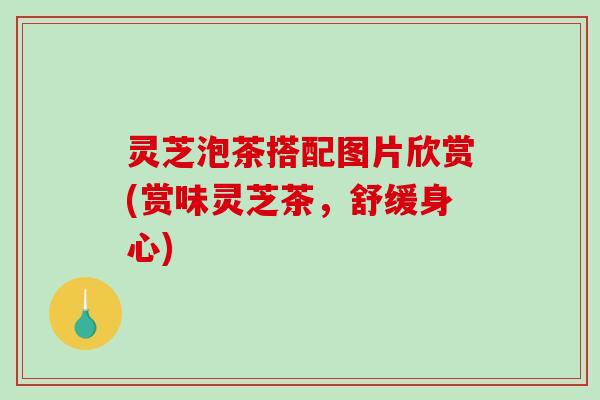 灵芝泡茶搭配图片欣赏(赏味灵芝茶,舒缓身心) 灵芝泡茶搭配图片欣赏(赏味灵芝茶,舒缓身心)
