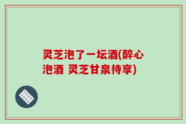 灵芝泡了一坛酒(醉心泡酒 灵芝甘泉待享)