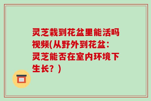 灵芝栽到花盆里能活吗视频(从野外到花盆：灵芝能否在室内环境下生长？)