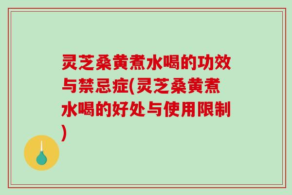 灵芝桑黄煮水喝的功效与禁忌症(灵芝桑黄煮水喝的好处与使用限制)