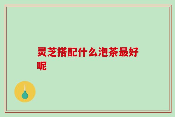 灵芝搭配什么泡茶好呢