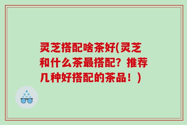 灵芝搭配啥茶好(灵芝和什么茶搭配？推荐几种好搭配的茶品！)
