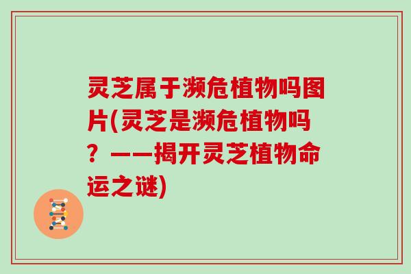 灵芝属于濒危植物吗图片(灵芝是濒危植物吗？——揭开灵芝植物命运之谜)