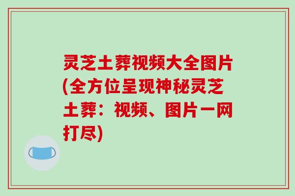 灵芝土葬视频大全图片(全方位呈现神秘灵芝土葬：视频、图片一网打尽)