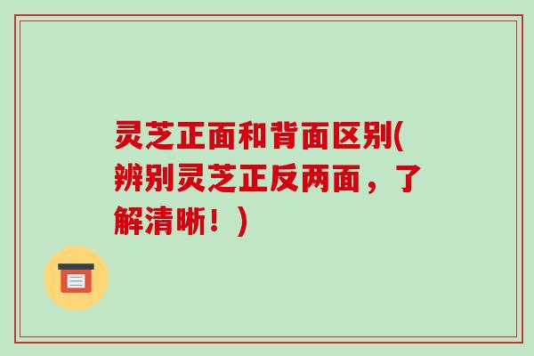 灵芝正面和背面区别(辨别灵芝正反两面，了解清晰！)