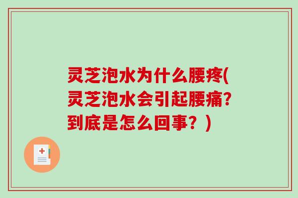 灵芝泡水为什么腰疼(灵芝泡水会引起腰痛？到底是怎么回事？)
