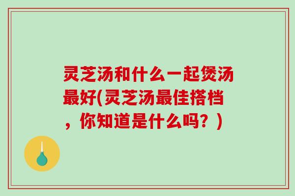 灵芝汤和什么一起煲汤好(灵芝汤佳搭档，你知道是什么吗？)