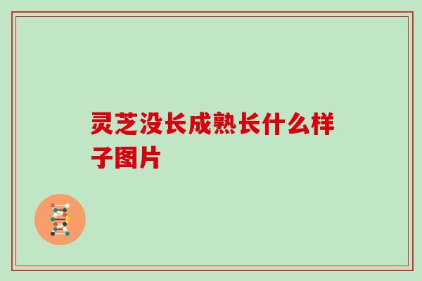 灵芝没长成熟长什么样子图片