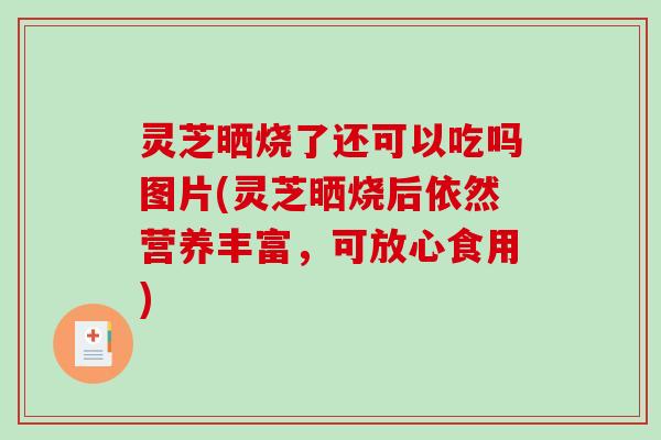 灵芝晒烧了还可以吃吗图片(灵芝晒烧后依然营养丰富，可放心食用)