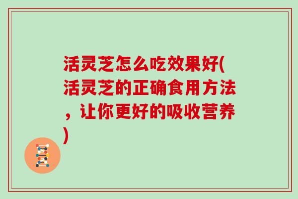 活灵芝怎么吃效果好(活灵芝的正确食用方法，让你更好的吸收营养)