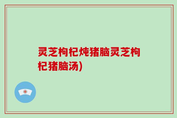 灵芝枸杞炖猪脑灵芝枸杞猪脑汤)