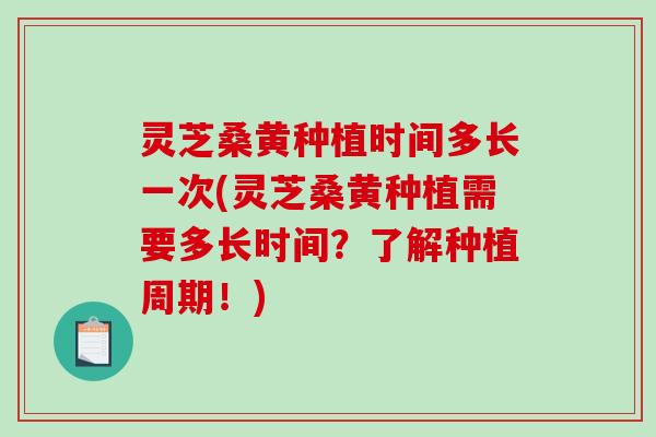 灵芝桑黄种植时间多长一次(灵芝桑黄种植需要多长时间？了解种植周期！)