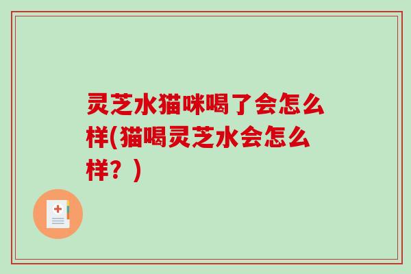 灵芝水猫咪喝了会怎么样(猫喝灵芝水会怎么样？)
