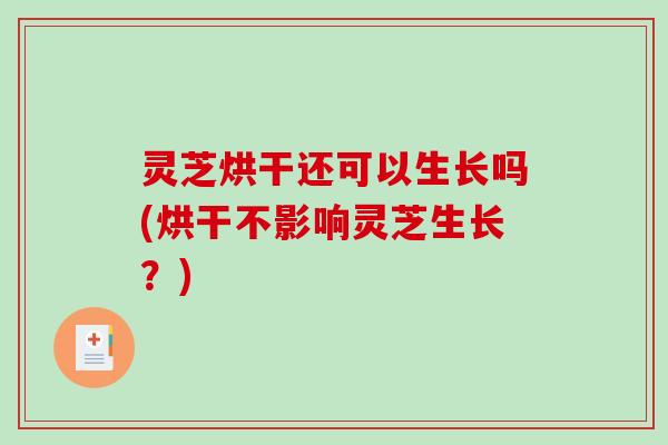 灵芝烘干还可以生长吗(烘干不影响灵芝生长？)