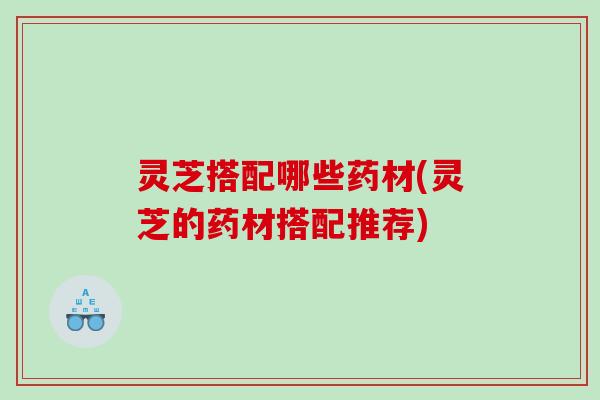 灵芝搭配哪些药材(灵芝的药材搭配推荐)