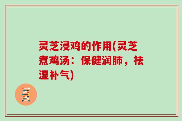 灵芝浸鸡的作用(灵芝煮鸡汤：保健润，祛湿)